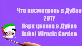 Что посмотреть в Дубае 2017|Парк цветов в Дубае|Удивительный Дубай|Dubai Miracle Garden 2017-2018