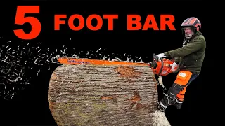 NEW! HUSQVARNA 3120XP with 5' BAR RIPPING HUGE LOGS!