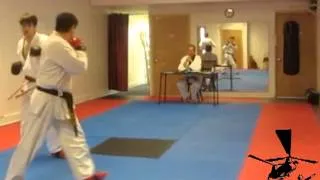 Progression of training: Tang Soo Do to Tae Kwon Do