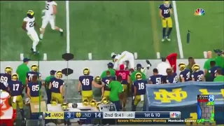 Devin Bush (Michigan LB) vs. Notre Dame 2018