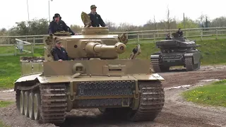 tiger131 spring 2023