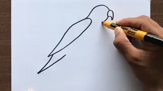 How to Draw a Parrot