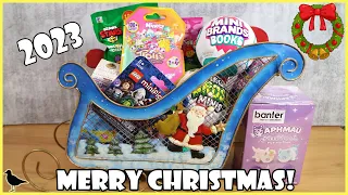 Christmas Sleigh Toy Opening! Merry Christmas for 2023! | Birdew Reviews