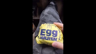 McDonalds Egg Mcmuffin Product Review
