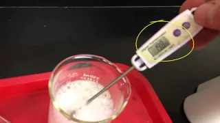 exothermic and endothermic reaction demonstrations