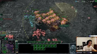 The perfect Swarm Host counter