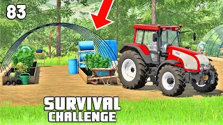 THE FARM IS STARTING TO FLOURISH | Survival Challenge | Farming Simulator 22 - EP 83