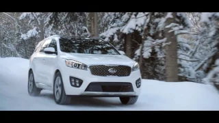 Pierce Brosnan & The Kia Sorento