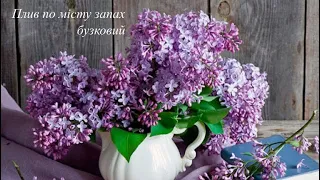 Богдан Малик — Плив по місту запах бузковий 🌸 (audio)