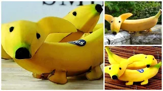 Super Fruits Banana Dog Decoration Ideas