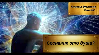 Сознание это душа?  (Учение Будды. Киттисаро бхиккху)