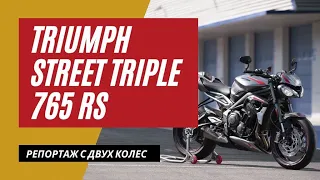 Triumph Street Triple 765 RS | Котенок Каракал | Мотоциклы для Взрослых🇷🇺