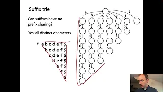 Suffix tries: size