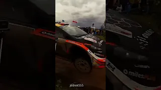 Crazy Rally Moments - #shorts 5 - crazy fan videos