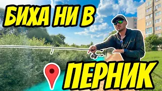 БИХА НИ В ПЕРНИК! ПАДНАХ ОТ СТЕНА! Градски риболов на кефал