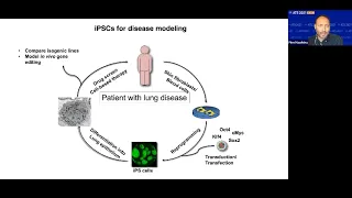 Innovations in airway stem cell usage for studying chronic lung diseases