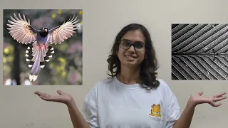 Euraxess Science Slam India 2023 Finalist: Ishita Jain - Entry Video