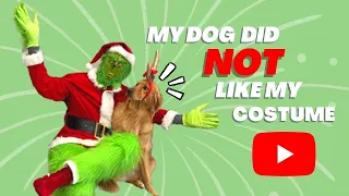 I showed my dog my new Grinch costume. He was NOT HAPPY.