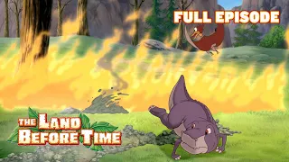 A Fire Breaks Out! | The Land Before Time