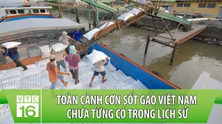 Toàn cảnh cơn sốt gạo Việt Nam chưa từng có trong lịch sử, giá gạo cao kỷ lục | VTC16