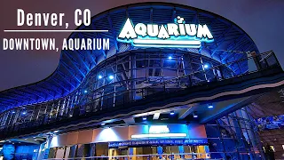 Denver CO, Downtown Aquarium WALK THROUGH !!! | CuriousTravels TV🐠 🐟 🦈🐡