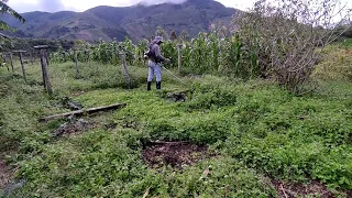 cómo desmontar con guadaña o cortar malezas