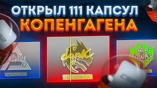 ОТКРЫЛ 111 КАПСУЛ КОПЕНГАГЕН 2024 В CS2! ОКУПАЮТ ЛИ КАПСУЛЫ В КС2?