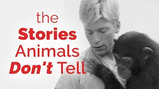 CARTA: All the Stories Animals Don't Tell with Daniel Povinelli