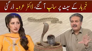 Khabarhar Ky Set Pr Saanp Aa Gaye, Dr Arooba Darr Gai | GWAI