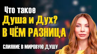 Что такое Душа и Дух? В чем разница.