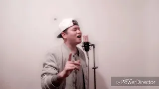 "SAID I LOVED YOU BUT I LIED" Cover