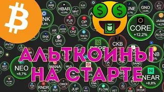 Биткоин вошел в новый цикл! Альткоины, альтсезон и новый цикл!