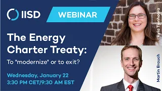 The Energy Charter Treaty: To "modernize" or to exit?