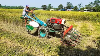 power tiller with paddy reaper in village farmar