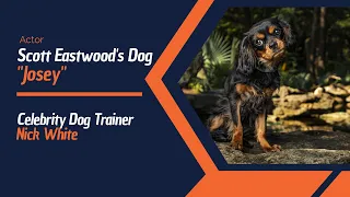 Celebrity Dog Trainer | Celebrity Dog Training | Scott Eastwood