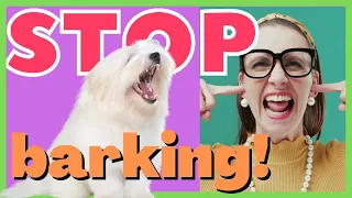 Solutions To A Barking Maltese Dog