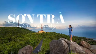 SƠN TRÀ MÙA SĂN MÂY 4K