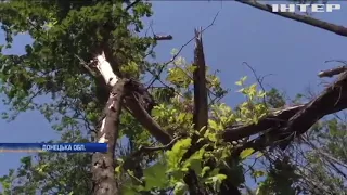 У Березовому на мінах підірвалися двоє місцевих мешканців