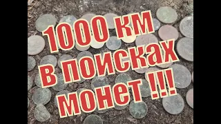 Поиск монет в лесу,  #Коп в Житомирской области ,#средневековое серебро, #коп 2019!