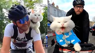 Cat Begs Dad To Take Her On Bike Rides 😍