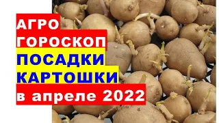Agrohoroscope for planting potatoes in April 2022