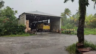 Walking in the Heavy Rain and Strong Wind, Binaural Rain on Umbrella Sounds