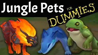 Jungle Pets Explained FOR DUMMIES!