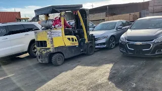 Погрузка VW Jetta, Honda CRV Accord, Ford Escape в контейнер на отправку в Новороссийск из Нью-Йорка