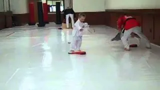 Martial Arts Training For Kids - Toddler Class Ages 2-4