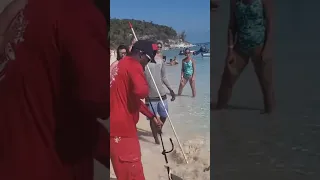 Feeding sharks Exuma Bahamas. #sharkweek  #reels #shorts #sharks #exuma #feeding  #sealife #shark