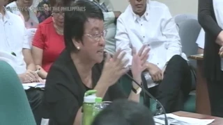 Sotto insults single mother DSWD chief Taguiwalo: 'Na-ano lang'