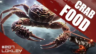🐊 Crab Food | 207 | EVE Online