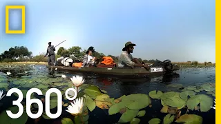 Visit the Okavango Delta in 360° | National Geographic