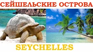 Гигантские черепахи, Сейшелы / Seychelles islands, turtles. Funny animals